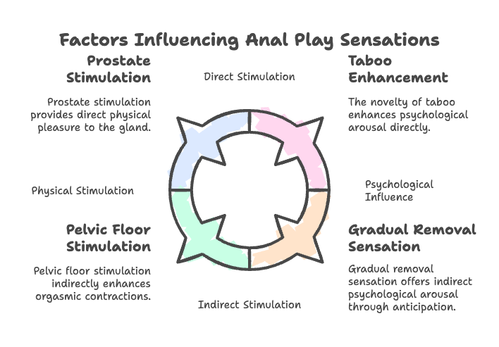 Factors Influencing Anal Play Sensations
