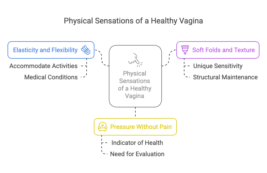 Physical Sensations of a Healthy Vagina