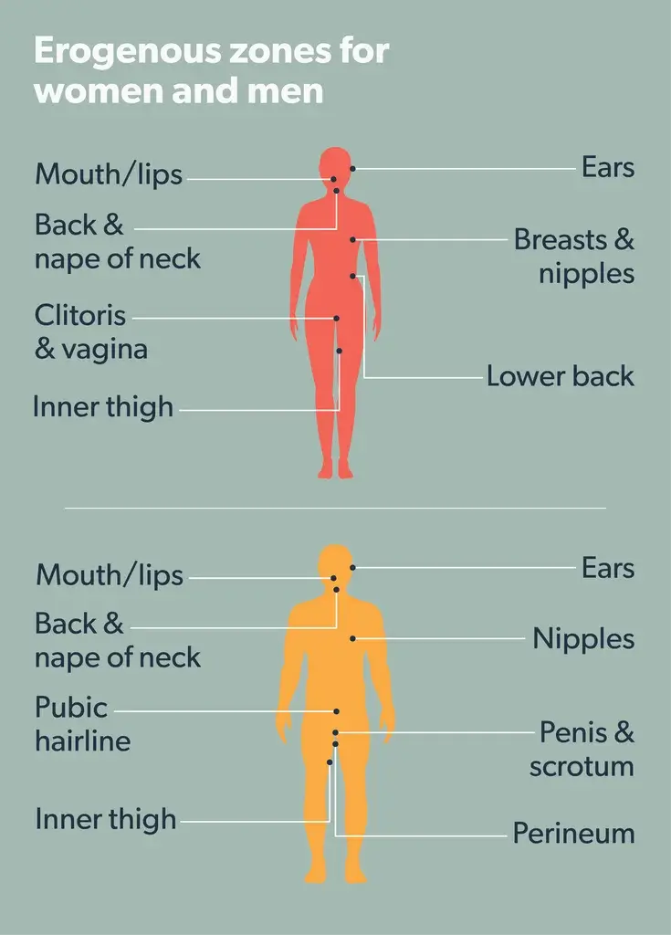 male anatomy highlighting erogenous zones